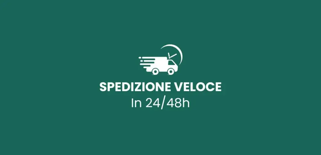spedizione veloce